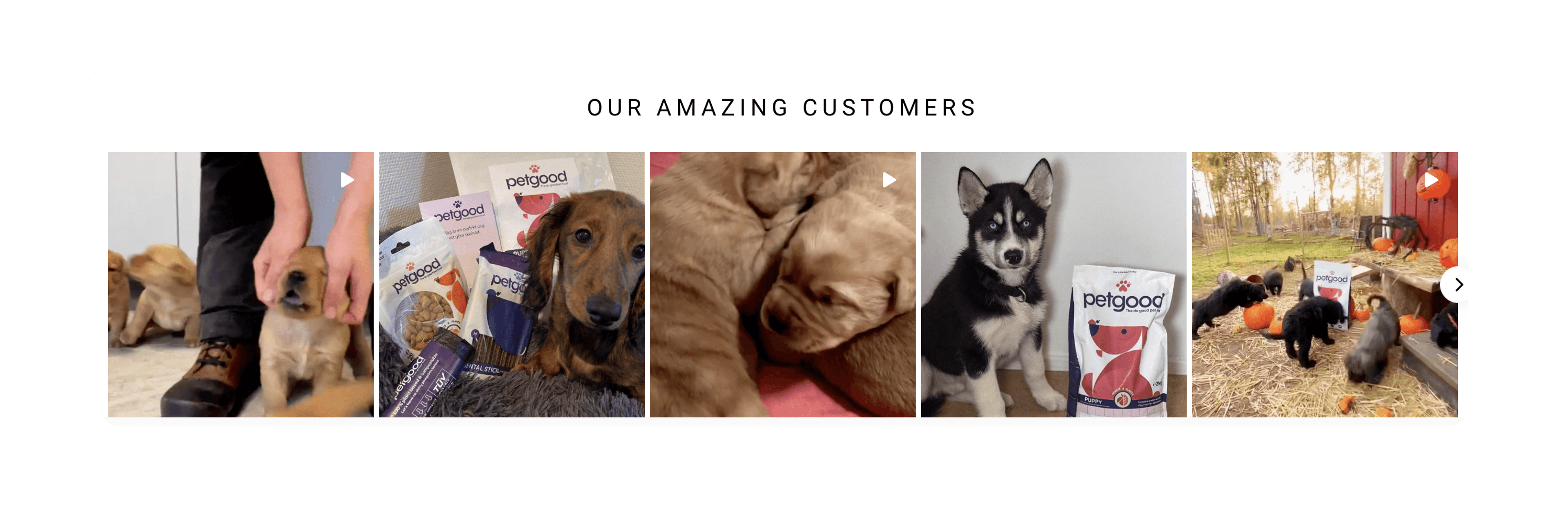 Social proof with puppies and Petgood dog food