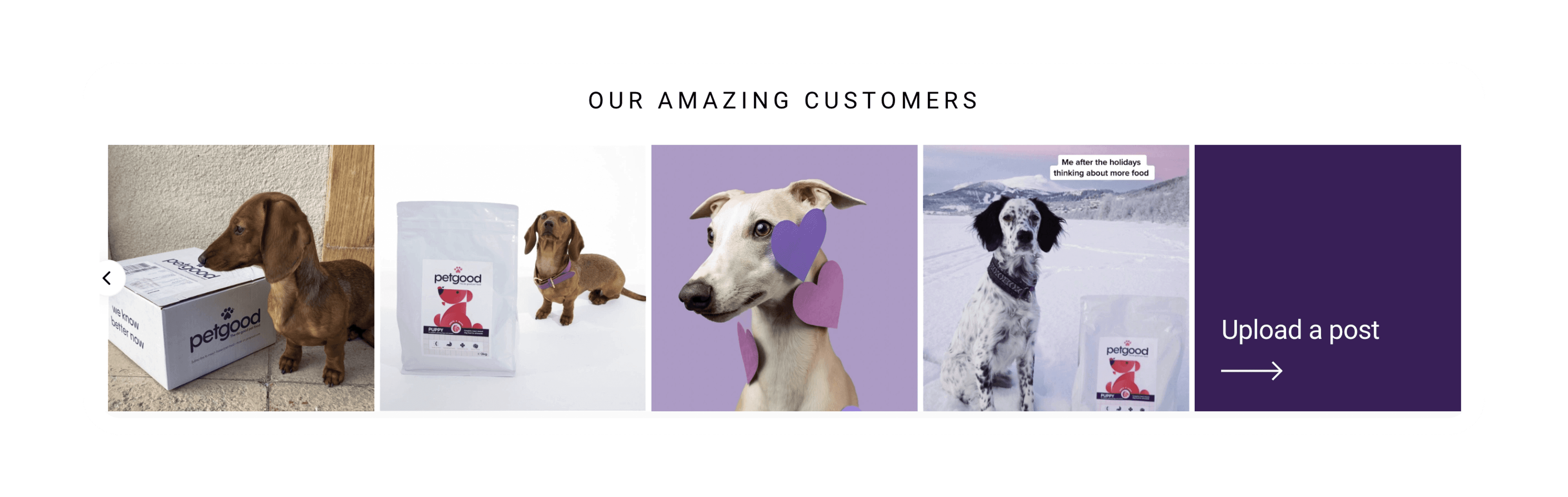 Social proof images with dogs and petgood dog food